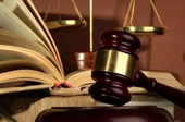 抓害群之馬，助金融改革一臂之力
