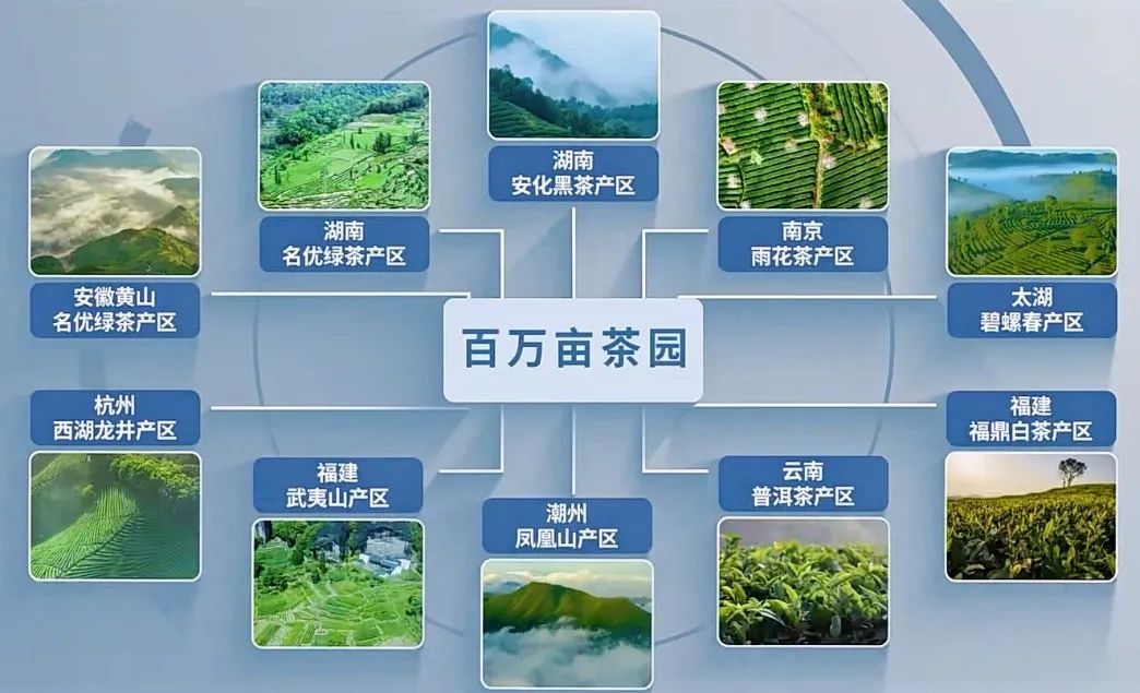 7月銀川這場(chǎng)盛會(huì)，或?qū)⒔沂鞠M(fèi)信心深層密碼