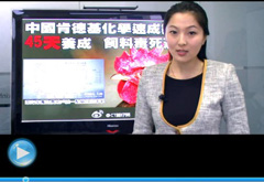 權(quán)威聲音：“快時(shí)代”究竟還有什么可以速成？