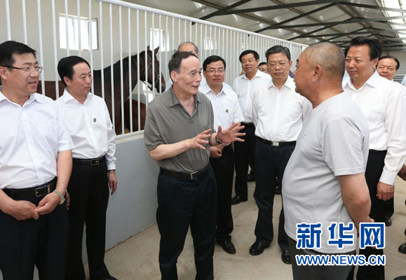 這是7月3日，王岐山在錫林浩特市義合良種馬繁育基地考察。新華社記者 龐興雷 攝