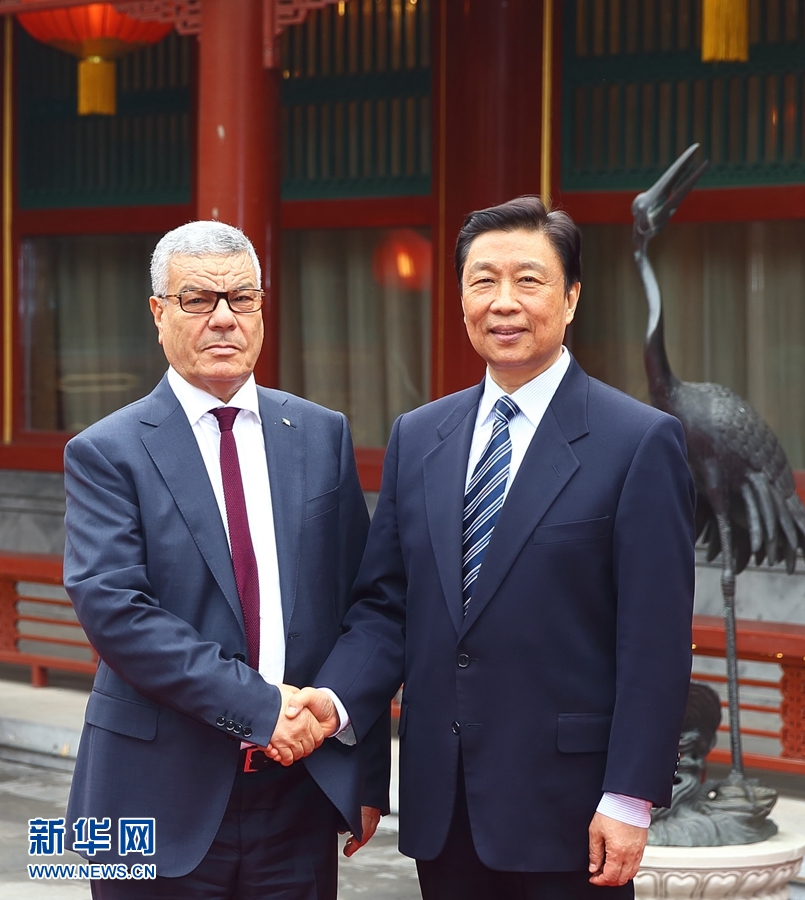 4月6日，國(guó)家副主席李源潮在北京會(huì)見由總書記薩伊達(dá)尼率領(lǐng)的阿爾及利亞民族解放陣線黨代表團(tuán)。 新華社記者 丁海濤 攝