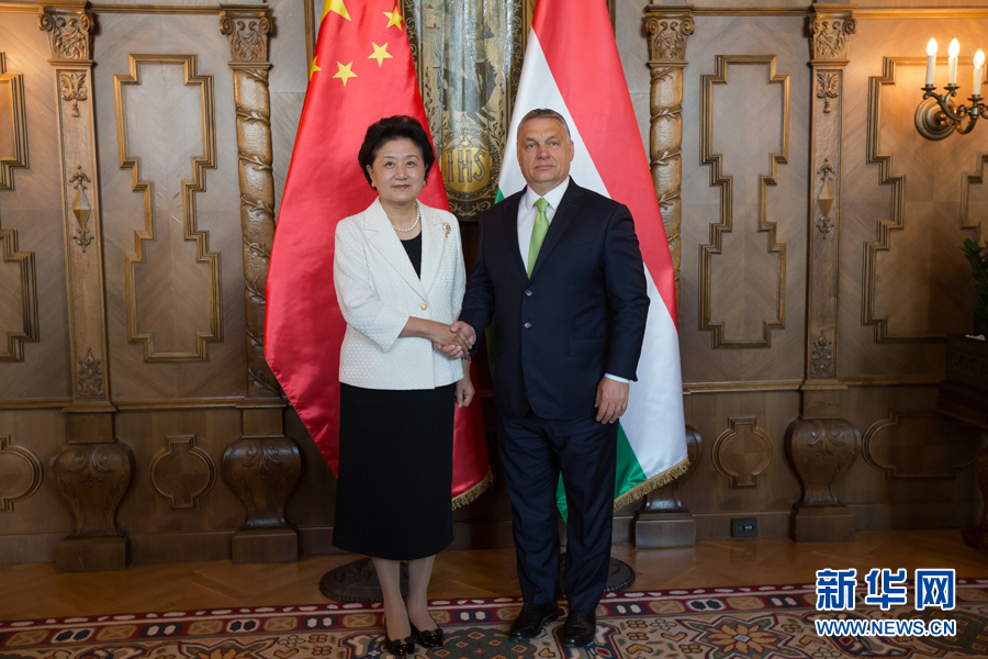  6月21日，國務(wù)院副總理劉延?xùn)|（左）在匈牙利布達(dá)佩斯國會(huì)大廈會(huì)見匈牙利總理歐爾班。 新華社發(fā)（弗爾季·奧蒂洛攝）