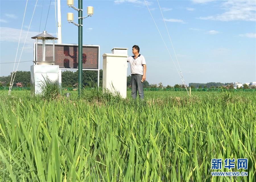 （新華全媒頭條·紀(jì)念改革開放40年特稿·圖文互動(dòng)）（6）向著新航程揚(yáng)帆奮進(jìn)！——從小崗精神看中國(guó)改革開放40年