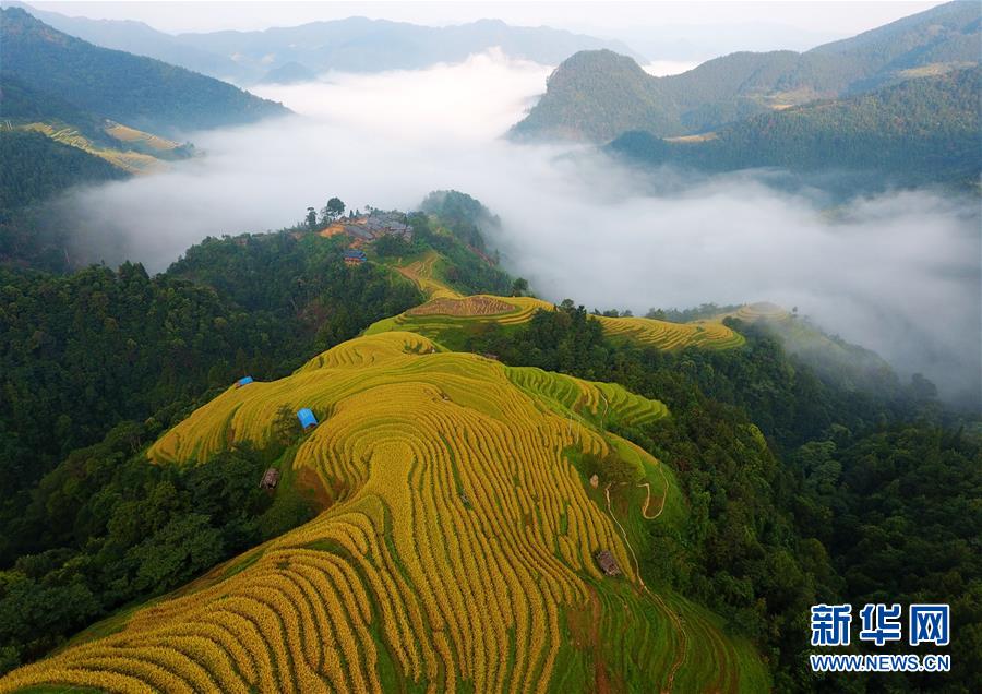 （新華全媒頭條·圖文互動(dòng)）（6）從脆弱生態(tài)到滿(mǎn)眼皆“綠”——國(guó)家生態(tài)文明試驗(yàn)區(qū)貴州的“綠色之路”