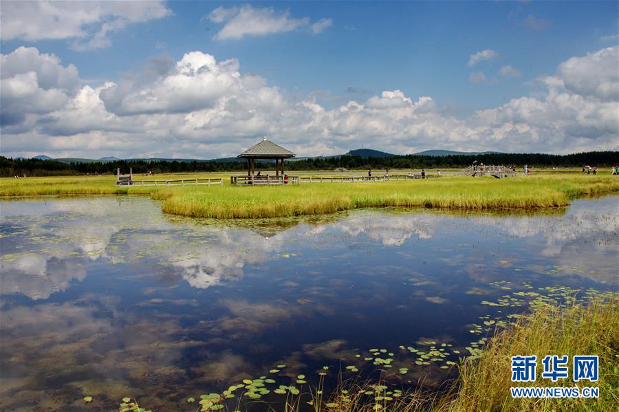 （新華全媒頭條·圖文互動(dòng)）（2）那一抹綠色，走進(jìn)越來(lái)越多人心里——河北塞罕壩續(xù)寫(xiě)新時(shí)代綠色傳奇