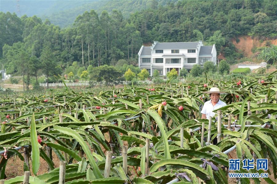 （在習(xí)近平新時(shí)代中國(guó)特色社會(huì)主義思想指引下——新時(shí)代新作為新篇章·總書記關(guān)心的百姓身邊事·圖文互動(dòng)）（6）大污染變身“大寶藏”：治理畜禽糞污，他們這樣干！