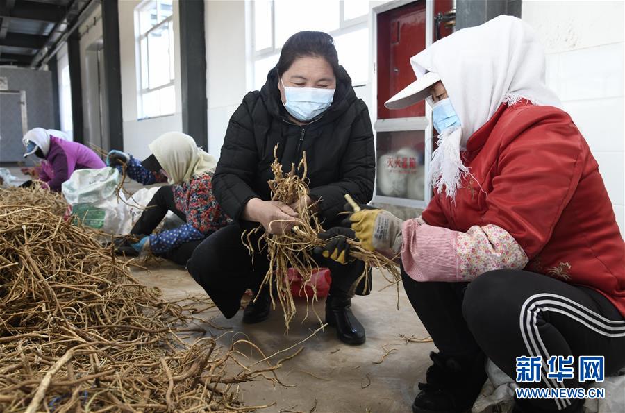 （新華全媒頭條·圖文互動）（2）特殊時期，他們這樣履職——全國人大代表這個春天在行動