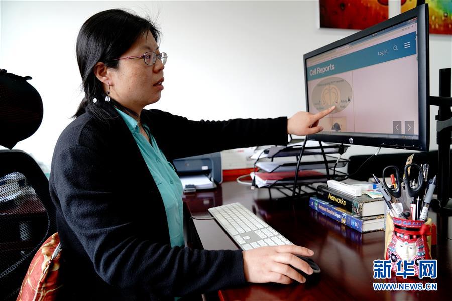 （圖文互動）（1）攻擊行為如何被大腦控制？科學(xué)家在小鼠大腦中發(fā)現(xiàn)“調(diào)節(jié)開關(guān)”