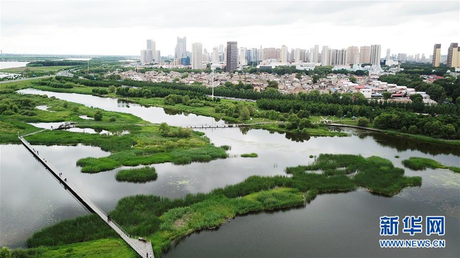 （走向我們的小康生活·圖文互動(dòng)）（2）水清、地綠、空氣新——最北省份黑龍江繪就生態(tài)治理新畫卷