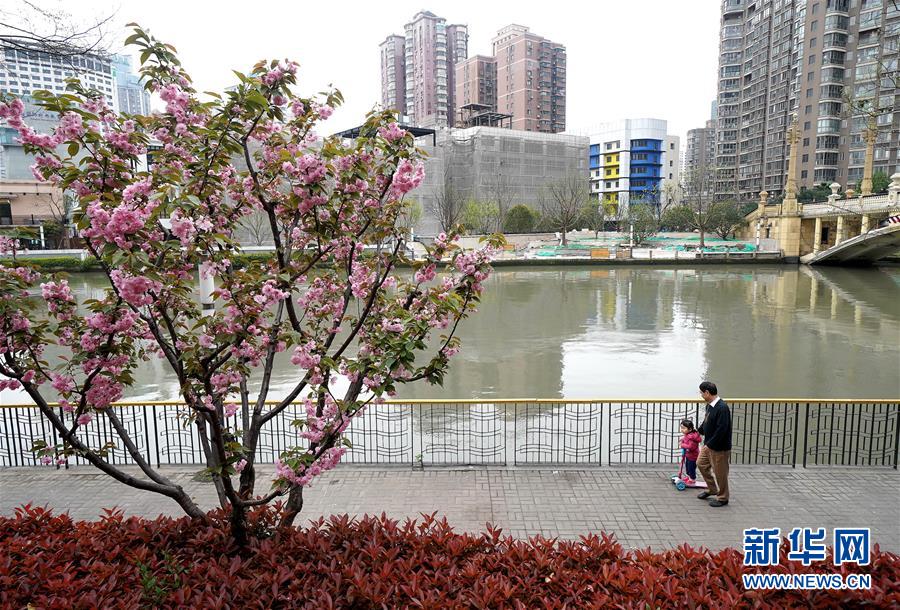 （新華全媒頭條·走向我們的小康生活·圖文互動(dòng)）（12）城市，讓人民生活更美好
