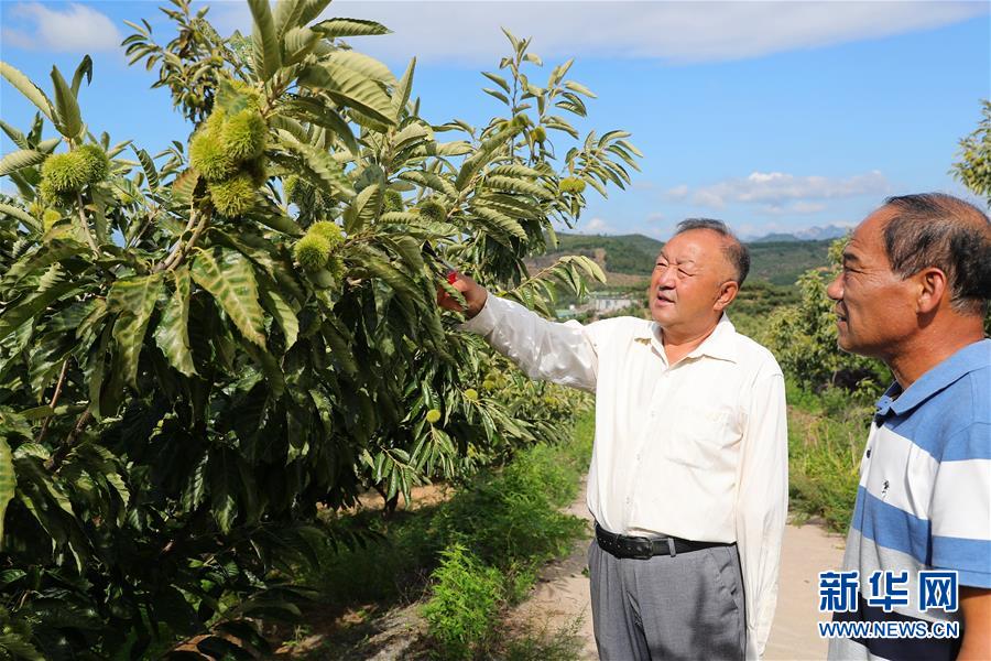 （新華全媒頭條·走向我們的小康生活·圖文互動）（11）長城腳下，小康村串成“珍珠鏈”