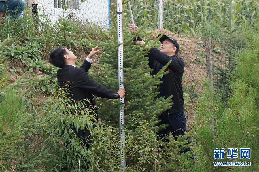 （決戰(zhàn)決勝脫貧攻堅·圖文互動）（2）甘肅定西黃土高坡上，有片“福州林”