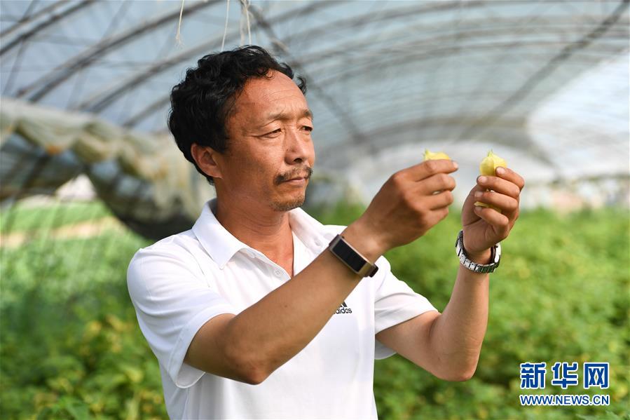（新華全媒頭條·走向我們的小康生活·圖文互動(dòng)）（7）黑土地上是我家——在吉林，一瞥中國(guó)東北鄉(xiāng)村美麗未來