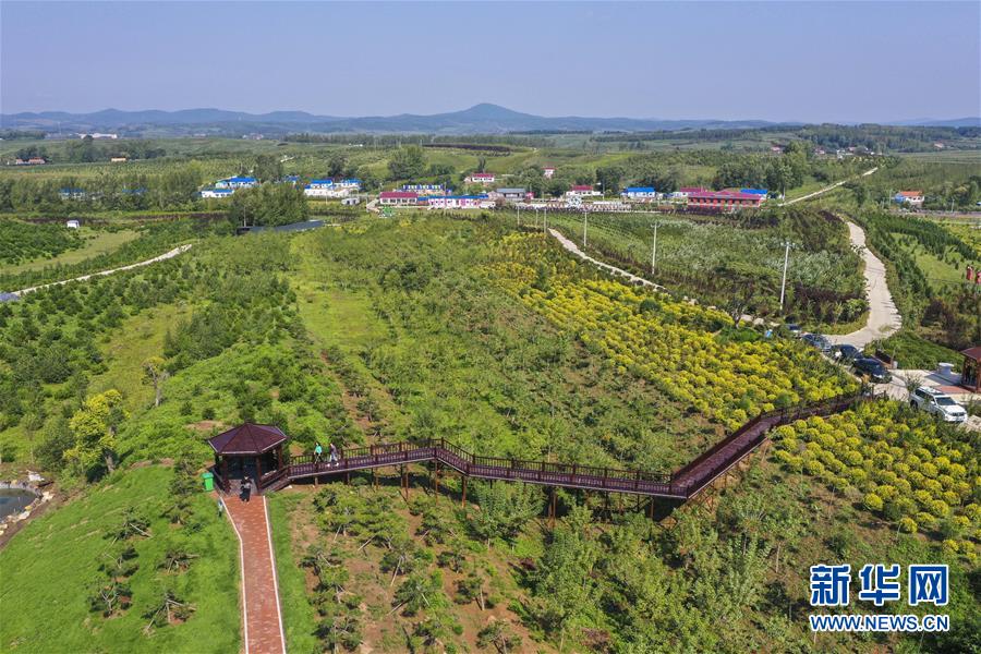 （新華全媒頭條·走向我們的小康生活·圖文互動(dòng)）（16）黑土地上是我家——在吉林，一瞥中國(guó)東北鄉(xiāng)村美麗未來