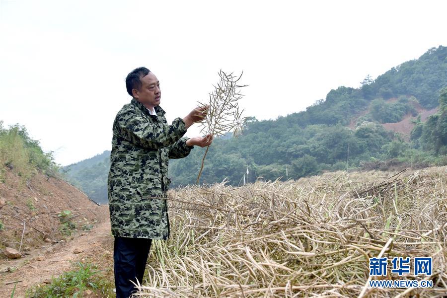 （代表委員履職·圖文互動）（1）“我是農(nóng)民代表，始終關(guān)注農(nóng)村”——全國人大代表沈昌健的履職故事