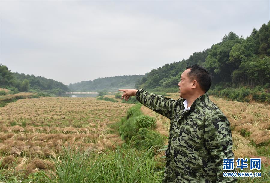（代表委員履職·圖文互動）（2）“我是農(nóng)民代表，始終關(guān)注農(nóng)村”——全國人大代表沈昌健的履職故事