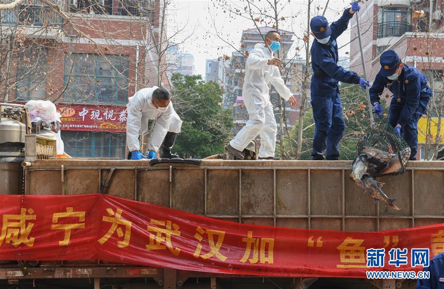 （新華全媒頭條·圖文互動）（12）從人民中汲取磅礴力量——習近平總書記同出席2020年全國兩會人大代表、政協(xié)委員共商國是紀實