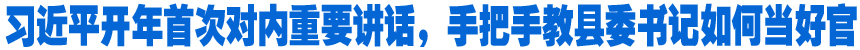 習(xí)近平開年首次對內(nèi)重要講話，手把手教縣委書記如何當(dāng)好官