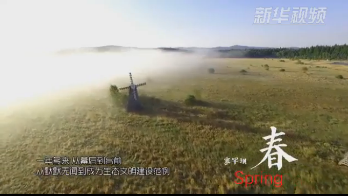 塞罕壩：那一抹綠色，走進(jìn)越來越多人心里