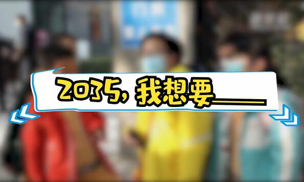 2035，我想要____