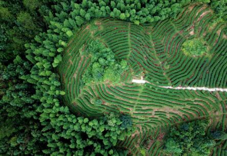 福建龍巖：高效用地，提升生態(tài)環(huán)境水平