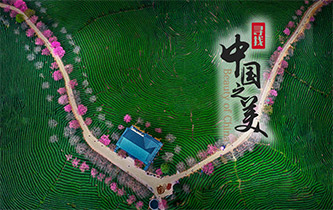 江山如畫，想把春的故事講給你聽