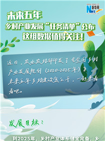 未來五年鄉(xiāng)村產(chǎn)業(yè)發(fā)展“任務(wù)清單”公布 這組數(shù)據(jù)值得關(guān)注！