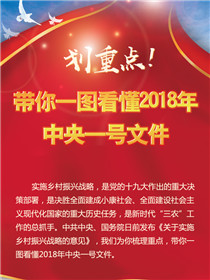 劃重點(diǎn)！帶你一圖看懂2018年中央一號文件
