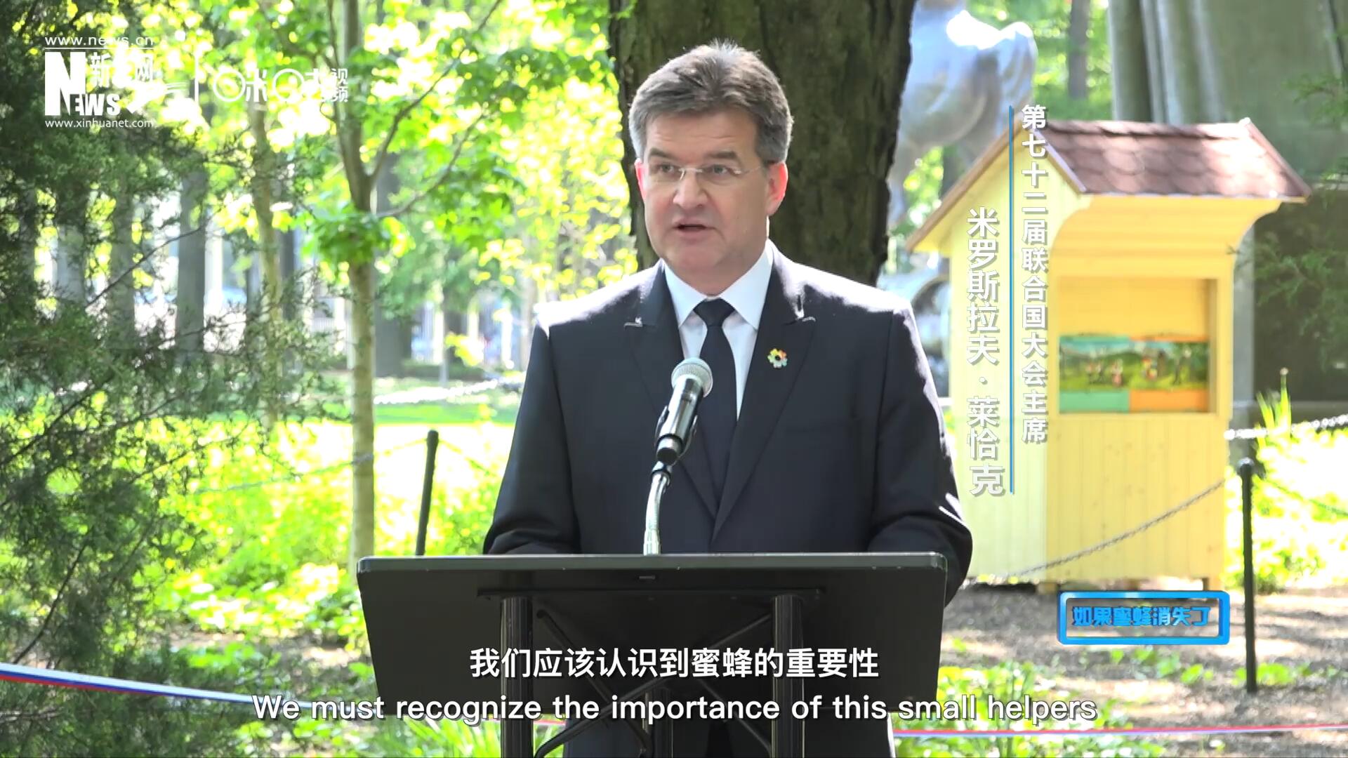 我們應(yīng)該認(rèn)識到蜜蜂的重要性，所以我們用“世界蜜蜂日”提高大家保護蜜蜂的意識，并且用實際行動去保護蜜蜂