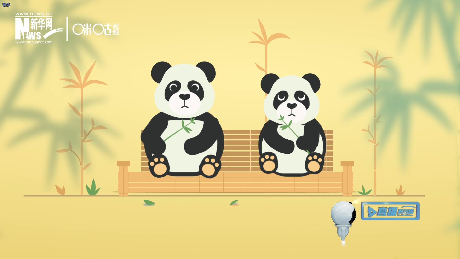 “哥哥你看，又有人來看我們了。”“有什么奇怪的，我們可是聯(lián)合國(guó)‘最萌’的大使?。?rdquo;。