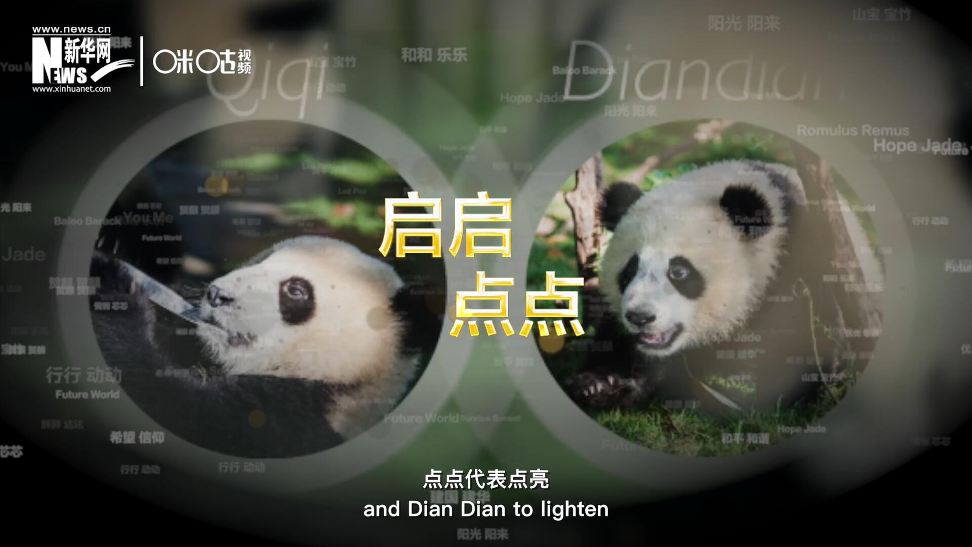 啟啟代表“啟發(fā)”，點(diǎn)點(diǎn)代表“點(diǎn)亮”，象征著2030年可持續(xù)發(fā)展議程 的“起點(diǎn)”，也象征著全球可持續(xù)發(fā)展路徑的新起點(diǎn)。