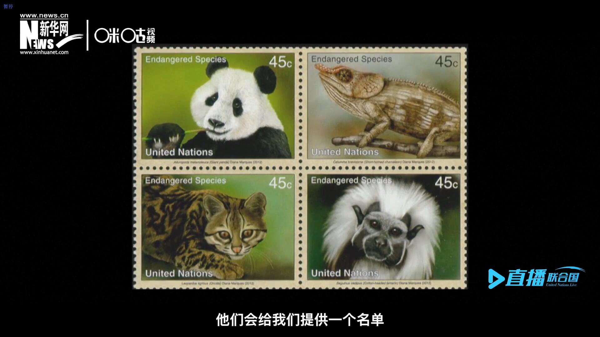 CITES（瀕危野生動(dòng)植物種國際貿(mào)易公約）會(huì)給聯(lián)合國郵政設(shè)計(jì)師提供一個(gè)名單，雙方共同合作在附錄中找到名單中應(yīng)該受到關(guān)注的動(dòng)物。
