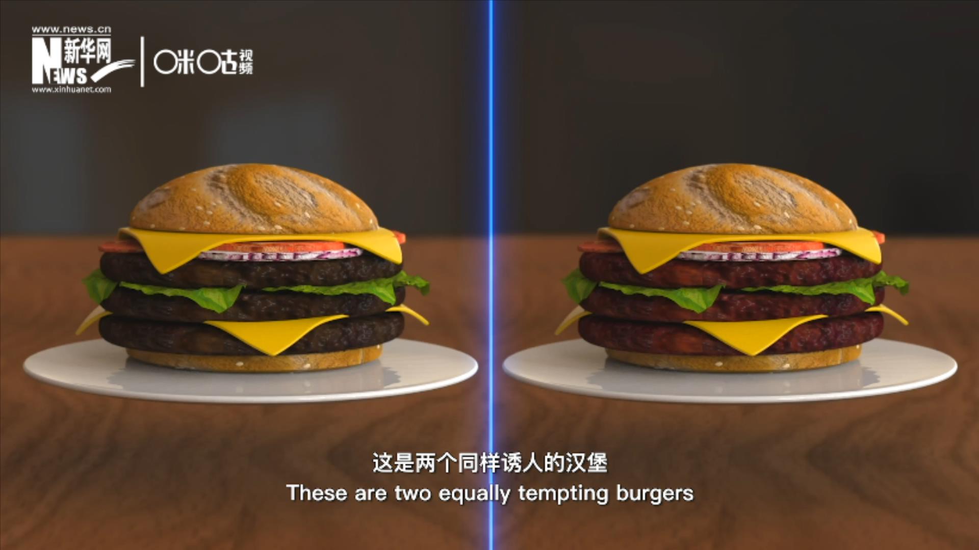 人造肉漢堡能在生產(chǎn)過程中節(jié)約水、土地、排放以及能量