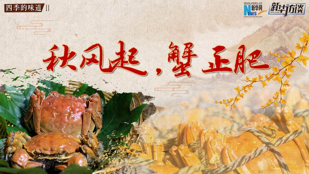 秋風(fēng)起，蟹正肥