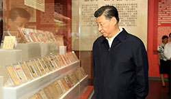 這些年，這些展，總書記這些話直抵人心