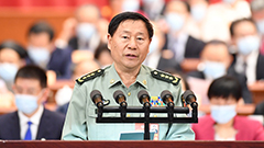 全國政協(xié)提案委員會(huì)副主任，中央軍委聯(lián)合參謀部原副參謀長 戚建國