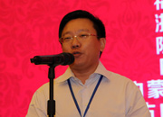 國(guó)際旅游投資協(xié)會(huì)副會(huì)長(zhǎng)、巔峰智業(yè)首席顧問劉鋒