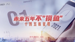 未來五年，不“摸魚”