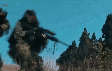 突入，擊斃！直擊武警特戰(zhàn)反劫持演練！
