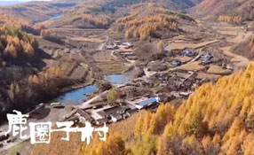 探秘關(guān)東人家，畫一個童話里的秋天