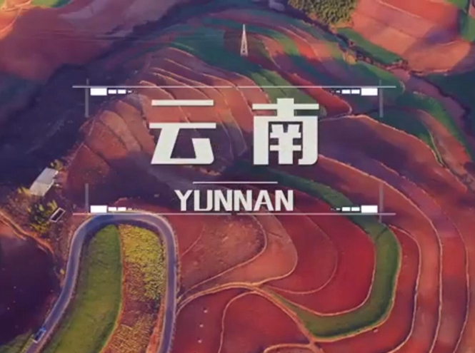 面向全球，直播“一帶一路”！——古道新生云之南